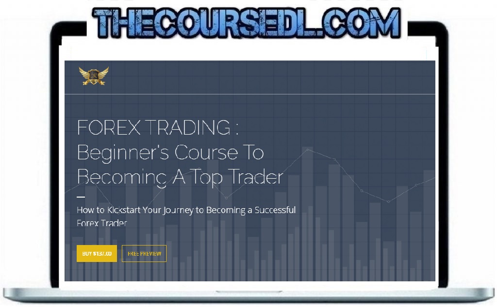 karen foo forex trading for beginners