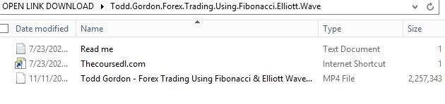 Todd-Gordon-Forex-Trading-Using-Fibonacci-Elliott-Wave-2023-1