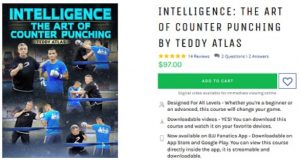 ntelligence-The-Art-of-Counter-Punching-by-Teddy-Atlas